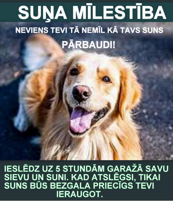 Autors: rasiks Dažādas bildītes no ikdienas