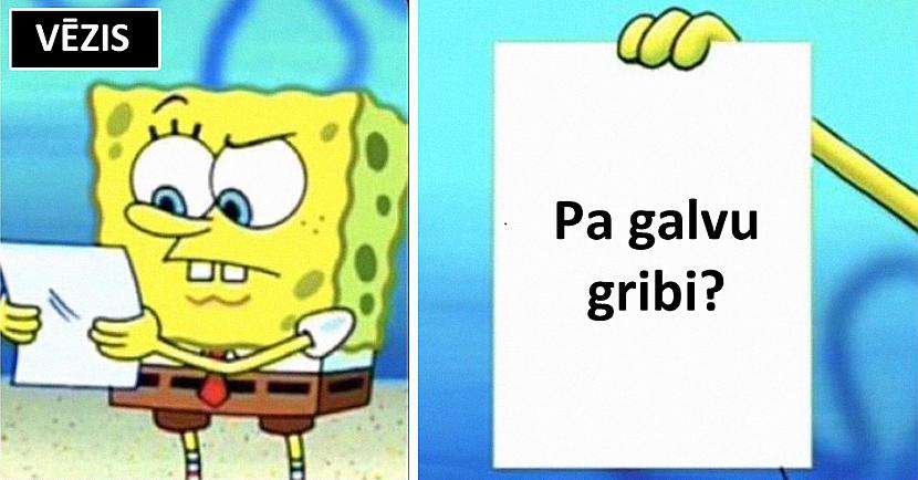 Autors: matilde Katras horoskopa zīmes tipiskākā parazītfrāze. Noskaidro savējo!