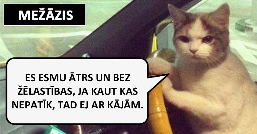 Autors: matilde Lūk, kā automašīnu vada dažādas zodiaka zīmes