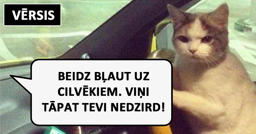 Autors: matilde Lūk, kā automašīnu vada dažādas zodiaka zīmes