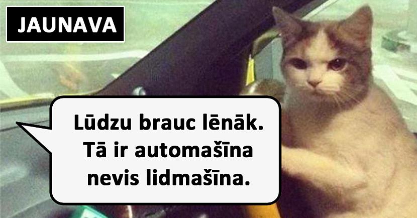 Autors: matilde Lūk, kā automašīnu vada dažādas zodiaka zīmes