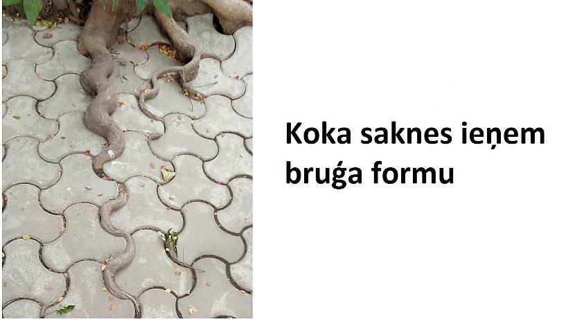 Autors: The Diāna 15 attēli, kuri parāda, ka pasaule ir apbrīnojama vieta
