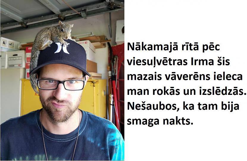 Autors: The Diāna 26 foto, kuri parāda dabas apbrīnojamo spēku