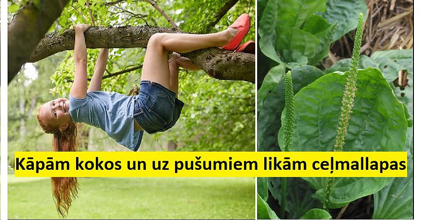 nbsp1 Paēdām brokastis gājām... Autors: The Diāna 23 lietas, kas mūsu bērnībā bija normālas, bet mūsdienu vecākiem liktu noģībt