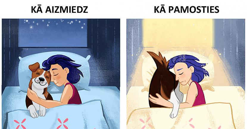 nbspSuņa saimnieka rīts... Autors: matilde 10 patiesi komiksi par suņu saimniekiem