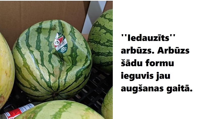 Autors: The Diāna 18 attēli, kuri pierāda, ka Māte Daba ir pārsteigumu pilna