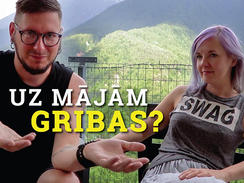 Autors: Ervīna video blogs Uz mājām gribas? Pusceļa sarunas