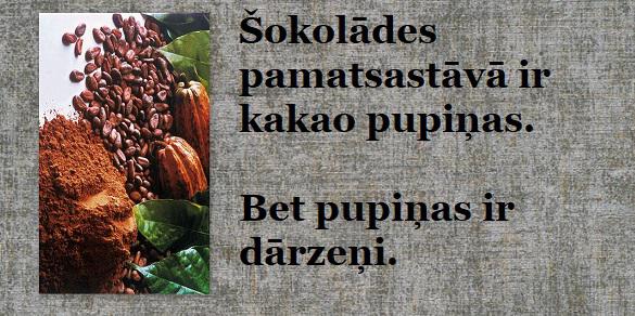 Autors: GargantijA Nenopietni par šokolādi