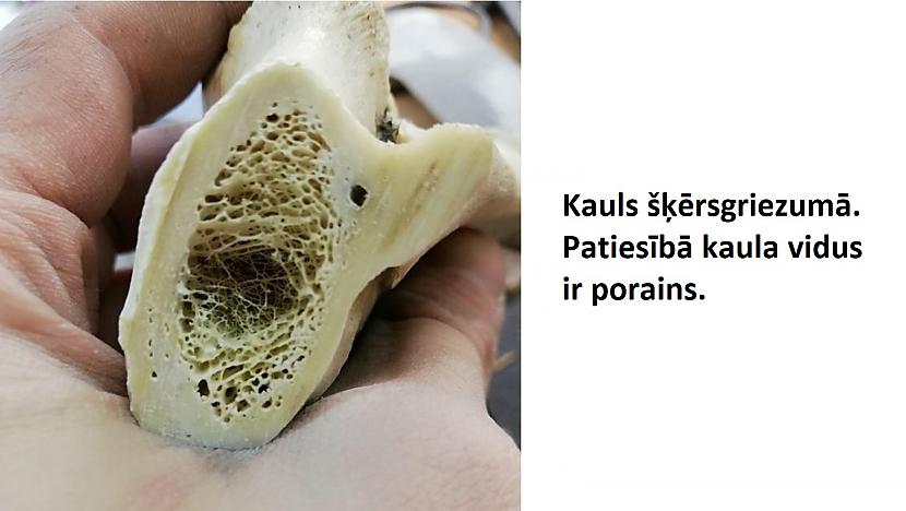 Autors: The Diāna Apskati lietas šķērsgriezumā!