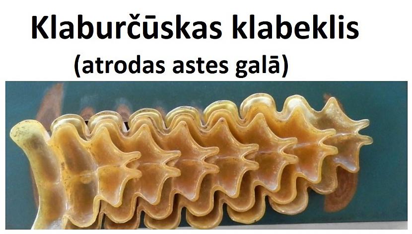 Autors: The Diāna Apskati lietas šķērsgriezumā!