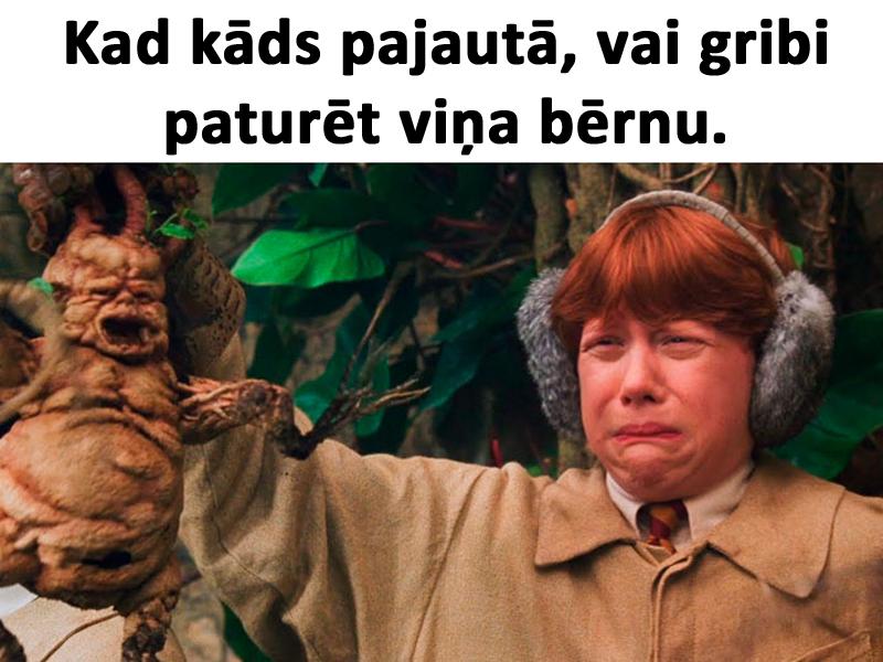 Autors: matilde 15 patiesas memītes un joki par tiem, kuriem NAV bērnu