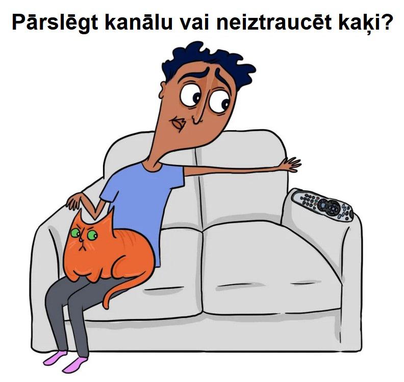 Autors: The Diāna 28 forši komiksiņi par dzīvi, sievietēm un kaķiem