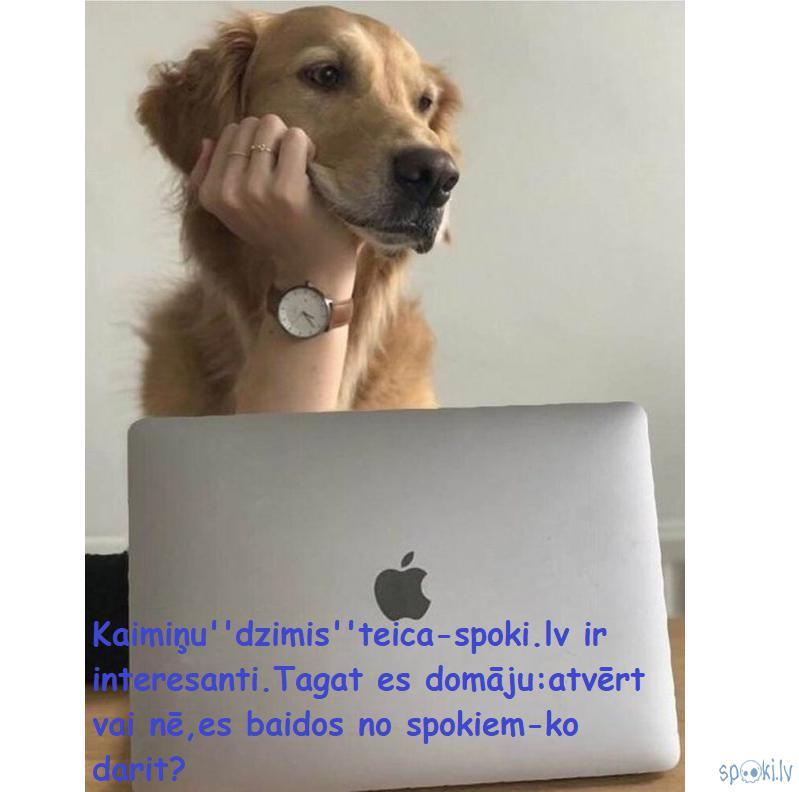 Spoki joko