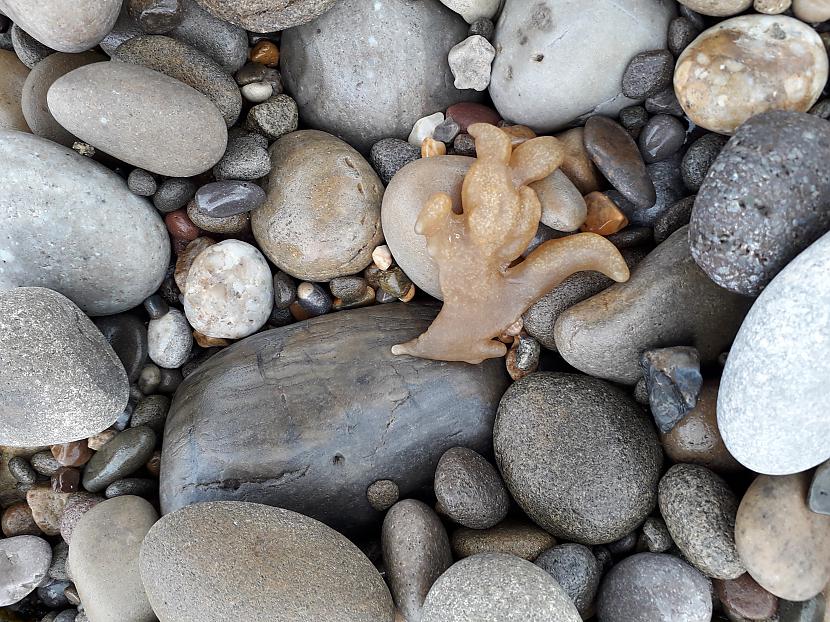 Autors: Griffith Dunraven Bay, Velsa, 7. septembris. 1/2 daļa.