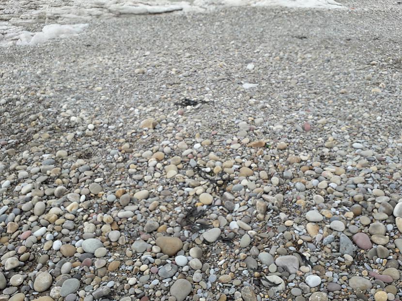 Autors: Griffith Dunraven Bay, Velsa, 7. septembris. 1/2 daļa.