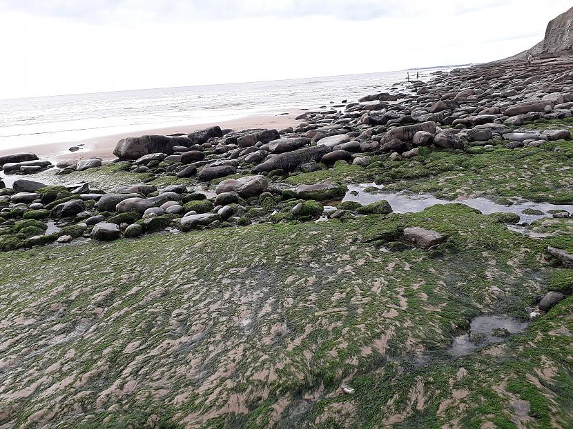 Autors: Griffith Dunraven Bay, Velsa, 7. septembris. 1/2 daļa.