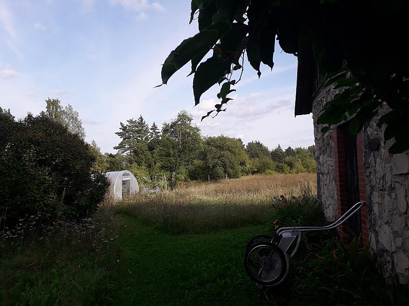 Autors: Griffith Atvaļinājums - 26. augusts, 2019. 1/2 daļa.