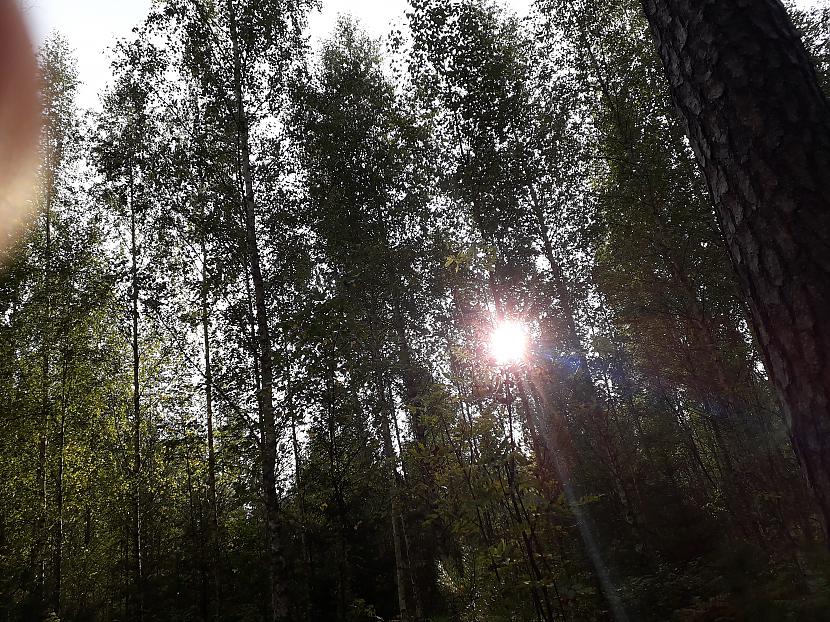 Autors: Griffith Atvaļinājums - 26. augusts, 2019. 2/2 daļa.