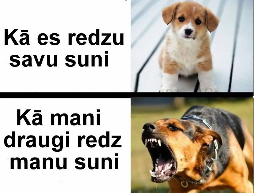 Autors: rasiks Jokaini sadzīves bilžuki