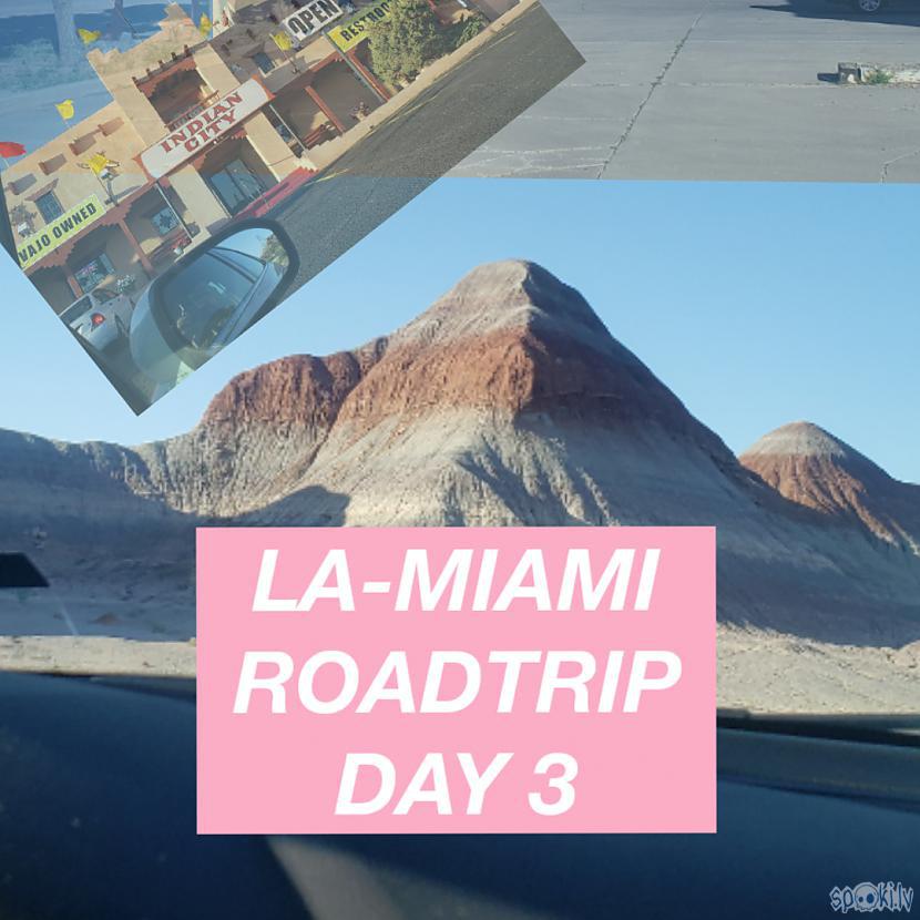 Autors: Audrey Kolina LA-MIAMI ROADTRIP DAY 3 / pārakmeņojies mežs