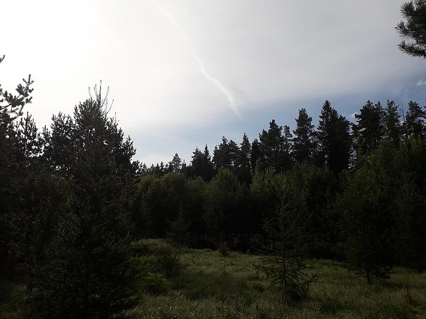 Autors: Griffith Atvaļinājums - 27. augusts, 2019, 1/2 daļa.