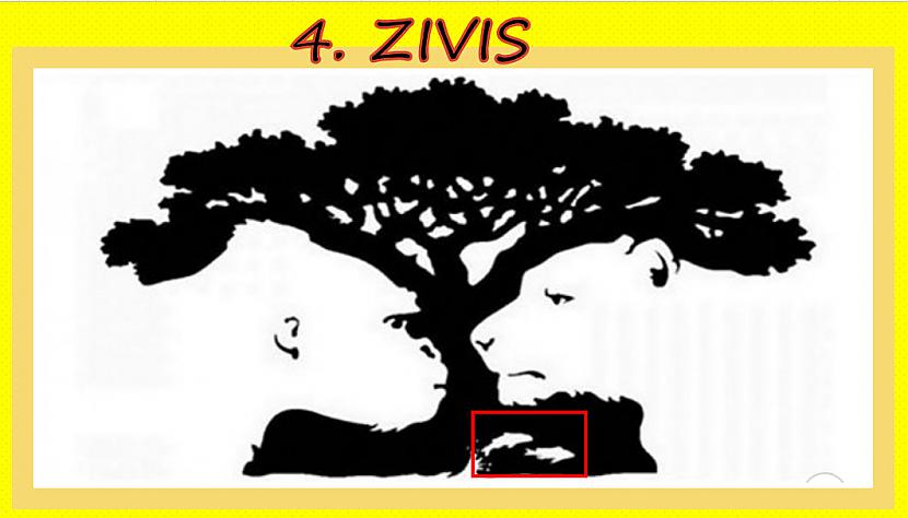 Tu pirmās ieraudzīji zivisTu... Autors: rasiks Ko tu ieraudzīji vispirms