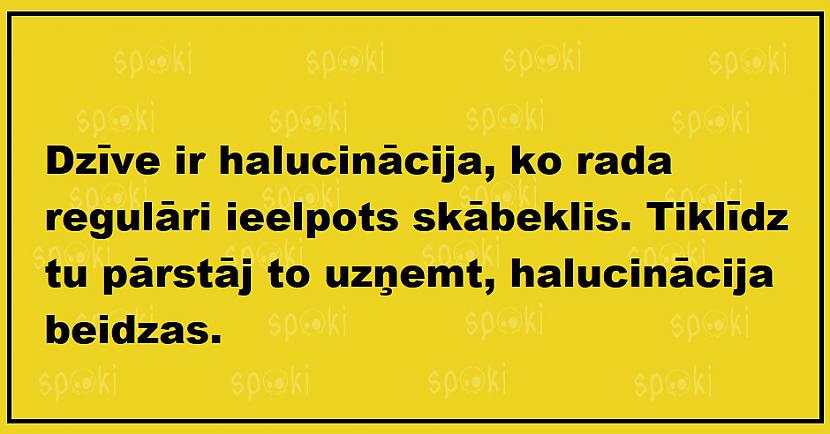 Autors: The Diāna Jociņu izlase pirmdienai