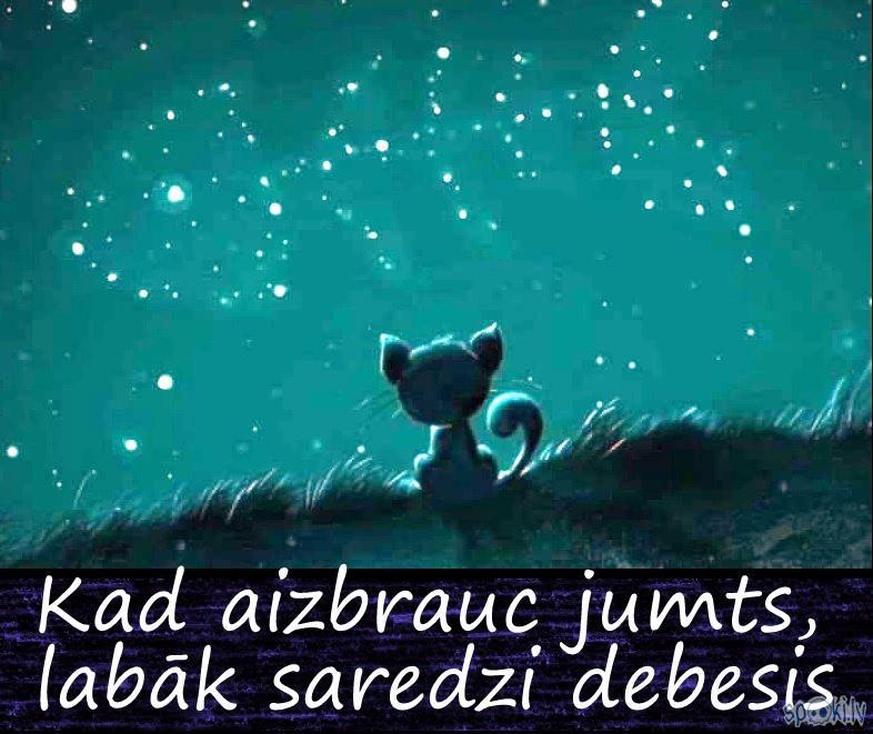 Spoki joko