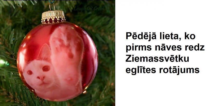 Autors: The Diāna Memīšu izlase labākam noskaņojumam (20 attēli)