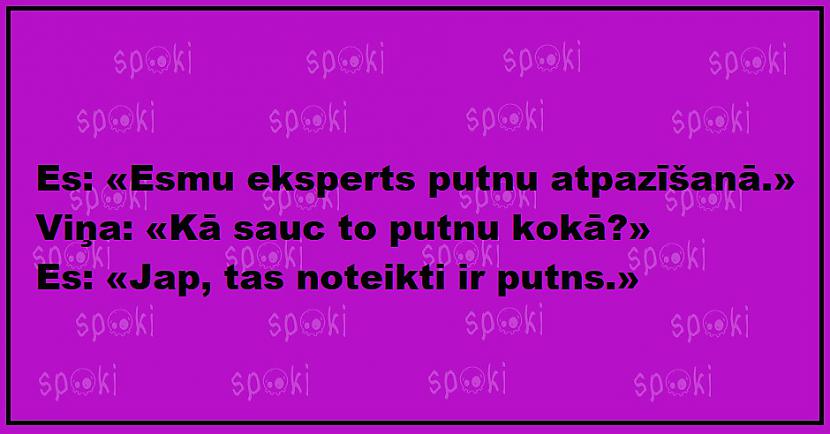 Autors: The Diāna Jociņu izlase garastāvokļa uzlabošanai (18 attēli)