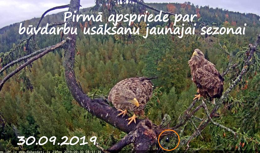 Sarkanajā rimbulītī ir... Autors: rasiks Katram savs vaļasprieks.