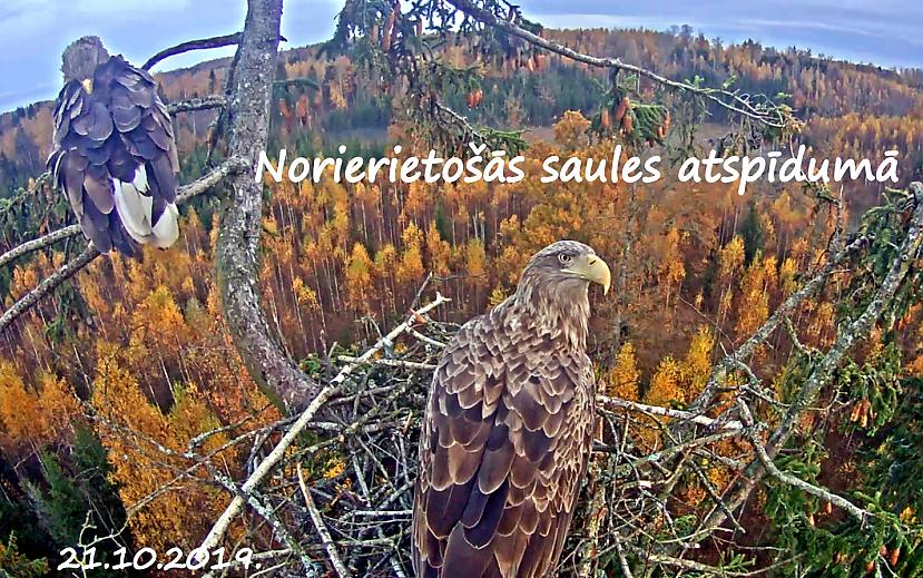 Autors: rasiks Katram savs vaļasprieks.