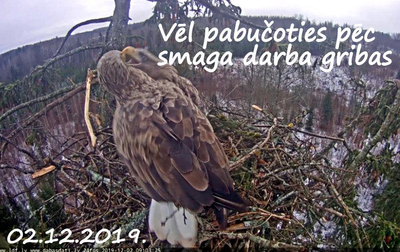 Autors: rasiks Katram savs vaļasprieks.