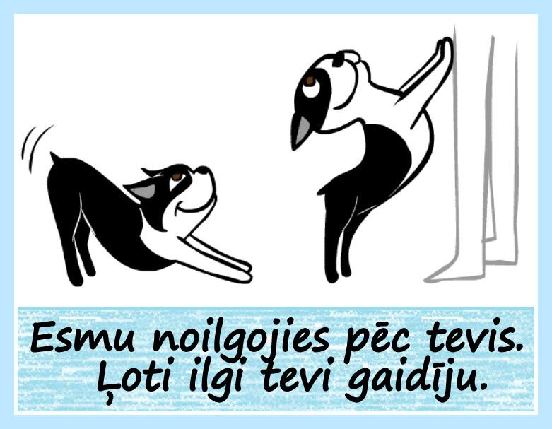 Kad saimnieks pēc ilgākas... Autors: rasiks Suņa ķermeņa valoda