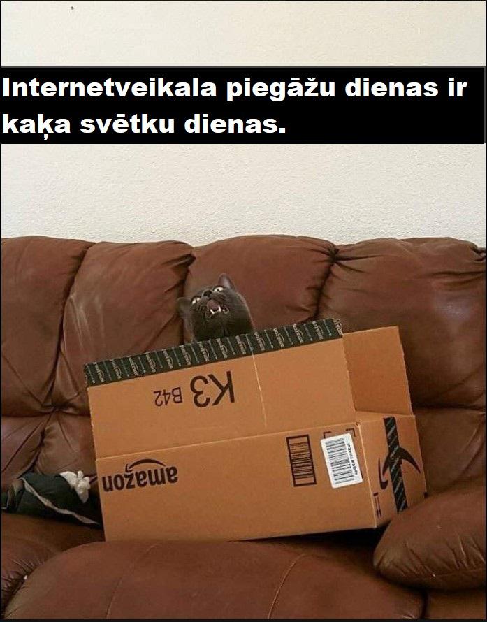 Autors: The Diāna Smieklīgas kaķu bildes labākam noskaņojumam (21 attēls)