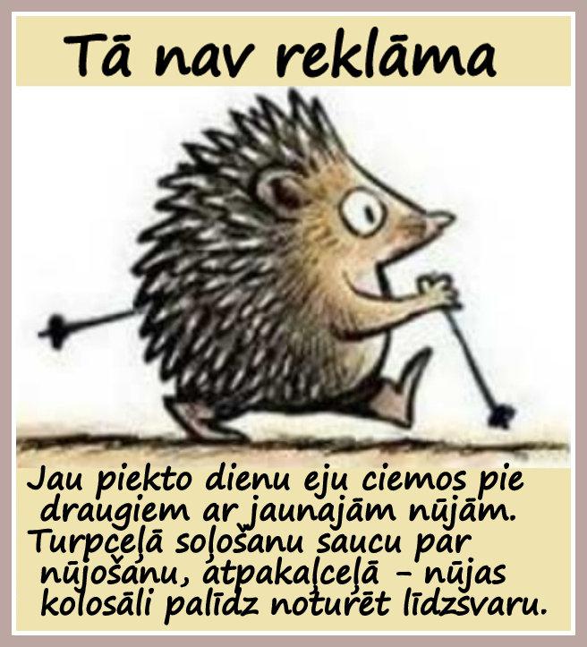 Skandināvu... Autors: rasiks Bilžuki par mums pašiem (5)