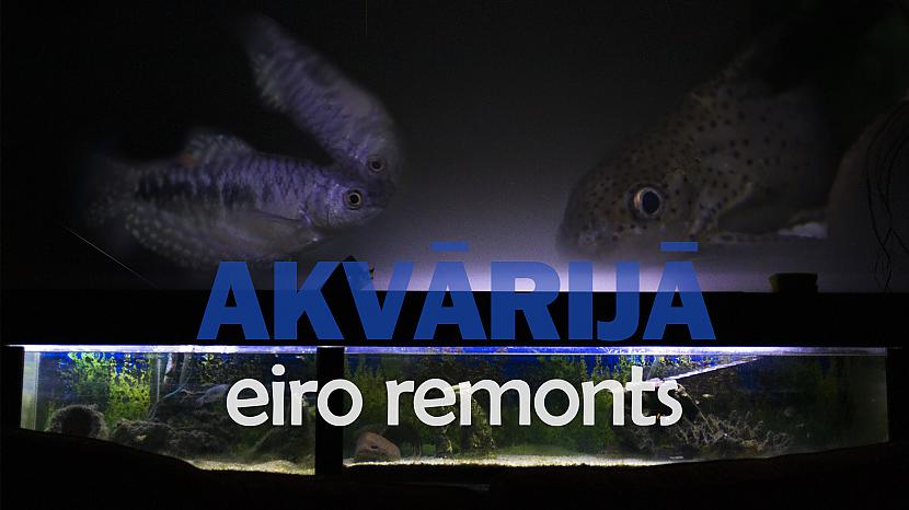 Autors: VIĻŅUKS Eiro remonts akvārijā. DIY