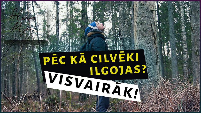 Autors: Cosmoo Pēc kā patiesībā ilgojas ikviens pieaudzis cilvēks?