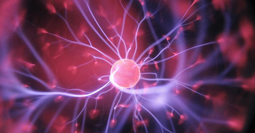 TESTS: Cik labi tu zini dabaszinību pamatus?