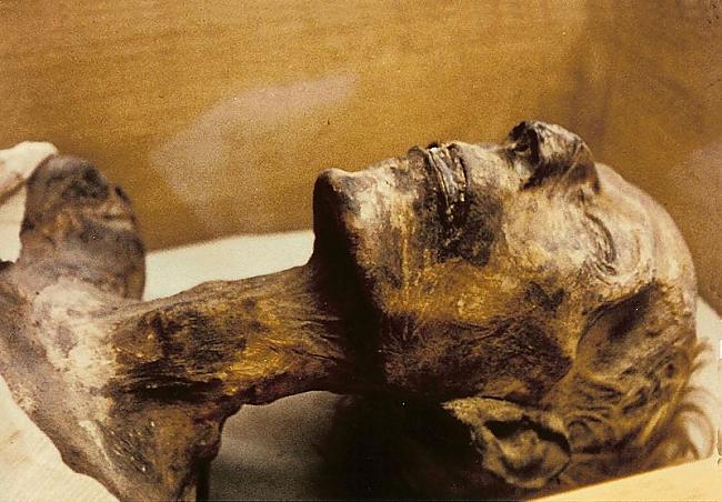 Ramzess II zināms kā viens... Autors: gurkjis Mūmiju stāsti II