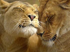 Love, true love :*