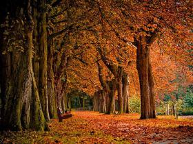 Rudens...