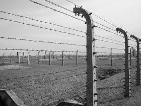 Auschwitz, bēgšanas un izdzīvojušie.