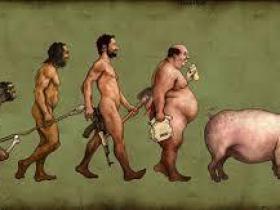 100 iemesli kādēļ evolūcijas TEORIJA ir stulba!