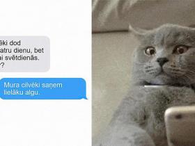 10 SMS, kuras Tu saņemtu no kaķa, ja viņi prastu tās rakstīt!