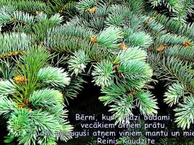 Bērni kā vecāku spogulis