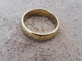 Ar metāla detektoru pa pludmali 2018 (Lord of the Rings)