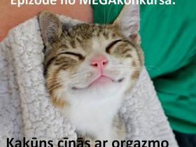 Spoku memes #2 (melnais humors)