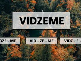 TESTS: Vai Tu proti sadalīt vārdus zilbēs?