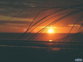 UK - Formby Beach